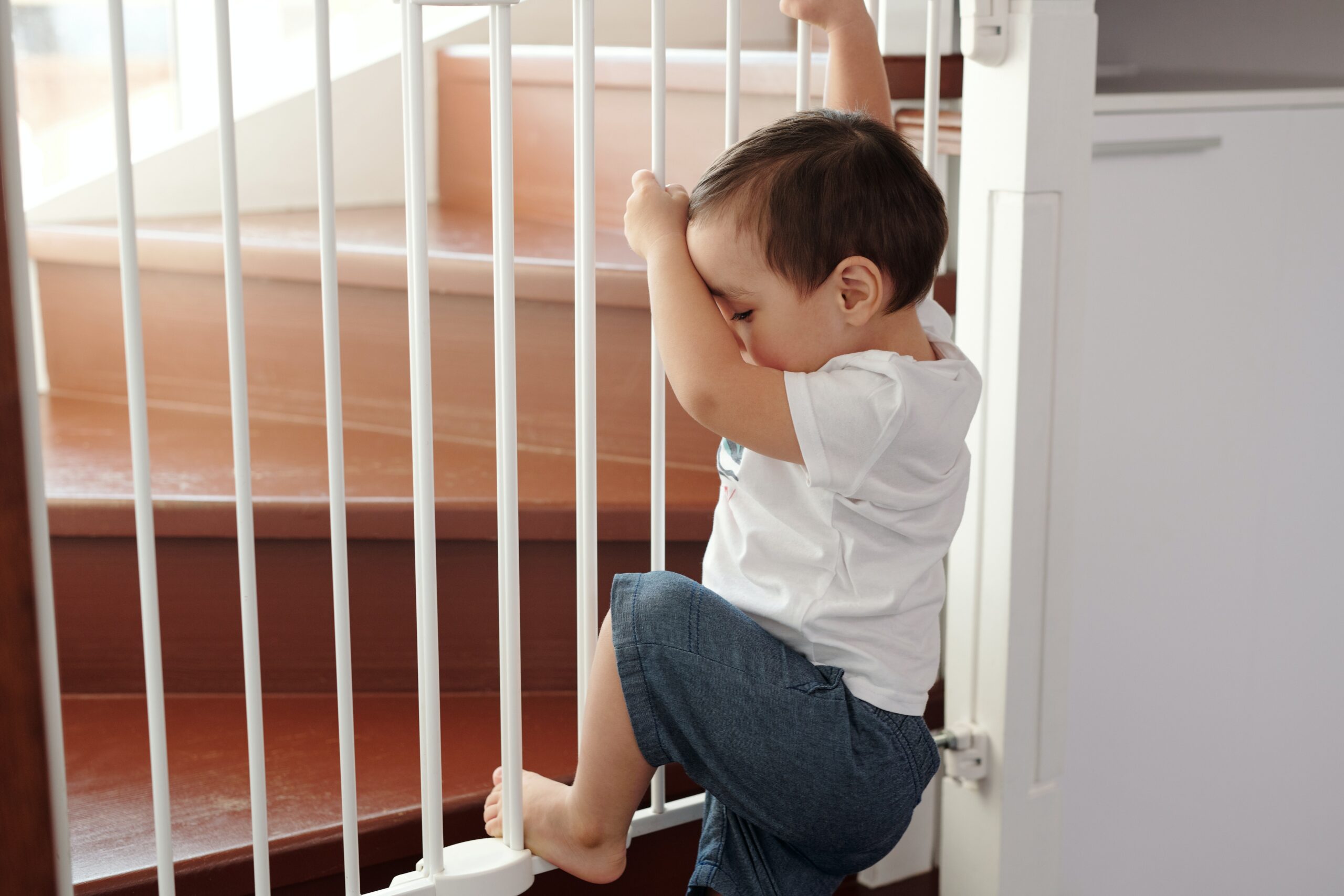 Toddler trying to climb closed safety gate on stairs