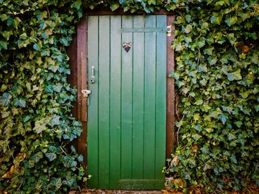 Green wooden door surrounded by ivy