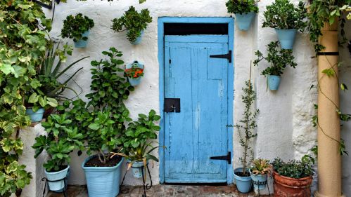 blue door surrounded by plants against a white wall
